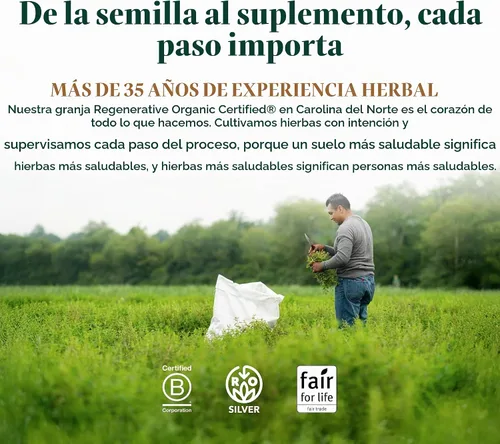 Vista 8 de Gaia Herbs Fitocápsulas líquidas de baya de sauco negro, 60 unidades., 751063400602, 60, 1, 1
