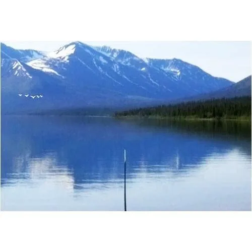Vista 6 de Reel Fishing Angler's Dream - Nintendo Wii