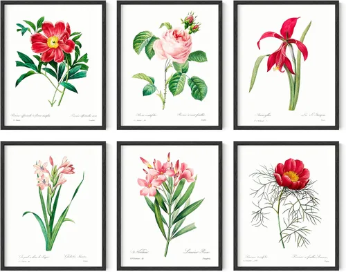 Vista 31 de HAUS AND HUES Pósteres florales y de plantas, juego de 6 impresiones botánicas, arte de pared de flores y plantas, decoración botánica