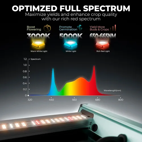 Vista 2 de MARS HYDRO Luz de Crecimiento LED FC1000W, Samsung LM301H EVO, con Función de Control Inteligente, ideal para agricultura vertical comercial