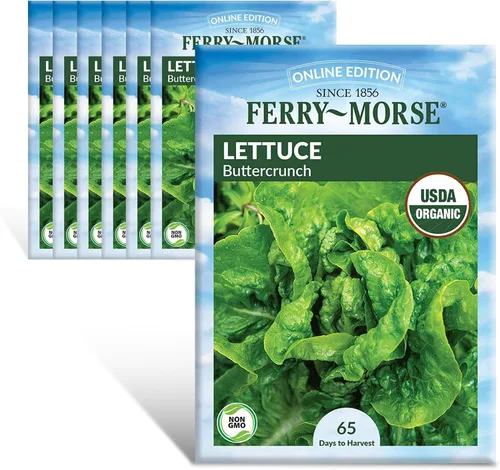 Vista 13 de Ferry-Morse Edición Online Bean Blue Lake Bush 274 Semillas Orgánicas Multipack – Paquete de 8