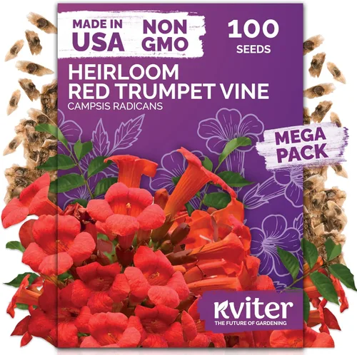 Vista 49 de KVITER 15,000 semillas de rosa musgo mixta para plantar (Portulaca grandiflora) – Cubierta de suelo con floración de reliquia, semilla de Portulaca