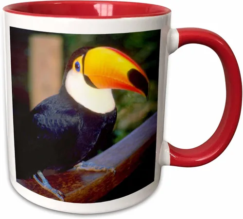 Vista 8 de 3dRose Florene Birds - Tucán - Tazas (mug_17933_9)