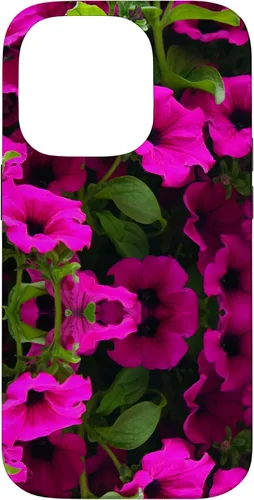 Vista 17 de iPhone 16 Purple Petunia Floral Cool Garden Plant Flower Gardener Gift Case