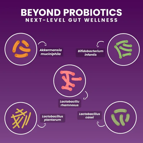 Vista 6 de Suplemento probiótico y prebiótico masticable Akkermansia NOVO 2.0 con HMO, apoya el microbioma intestinal y oral, suplementos para la salud