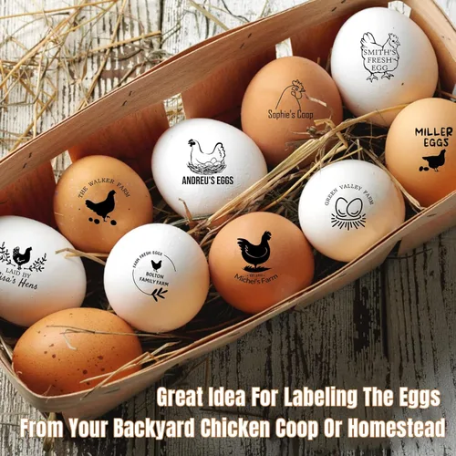 Vista 4 de Sellos de huevos para huevos frescos, sello personalizado de huevo de pollo con diseños únicos, marcado de huevos personalizados para regalos