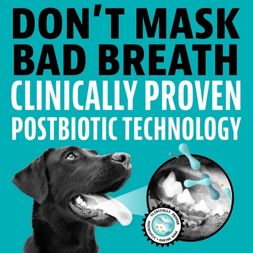 Vista 2 de Dinovite - Masticables dentales diarios para perros pequeños, refresca
