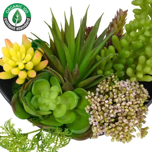 Vista 3 de Plantas suculentas artificiales en maceta de 7.2 pulgadas