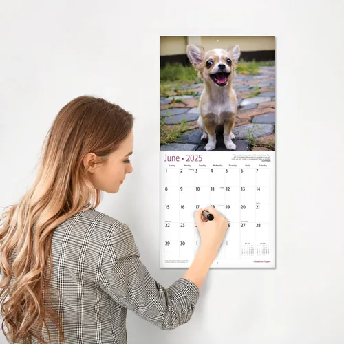 Vista 4 de RED EMBER Chihuahua Puppies 2025 Calendario de pared de 12 meses 12 x 24 pulgadas abierto Papel grueso y resistente Regalo Calendario 2025