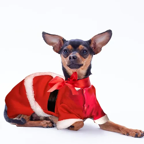 Vista 5 de Disfraces de Navidad para mascotas, ropa de perro de Papá Noel para perros pequeños, abrigos de otoño e invierno, sudaderas con capucha
