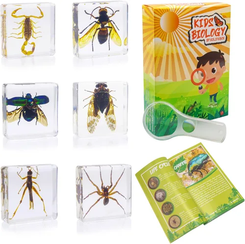 Vista 9 de Juego de muestras de insectos, colección de insectos, regalo educativo científico para niños de 3 a 8 a 12 años