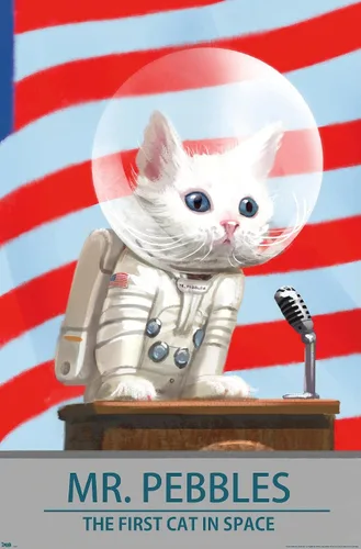 Vista 9 de Trends International Fallout 4 - Póster de pared de Mr. Pebbles - El primer gato en el espacio, 14.72 x 22.37 pulgadas, versión enmarcada de madera