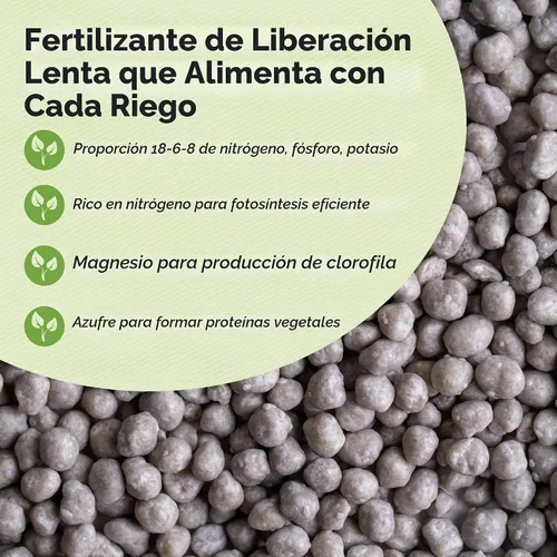 Vista 5 de Perfect Plants - Mezcla especial para plantar rosas Nutrientes prémium para rosas en flor como Drift, Knockout y reliquia (4 cuartos de galón)