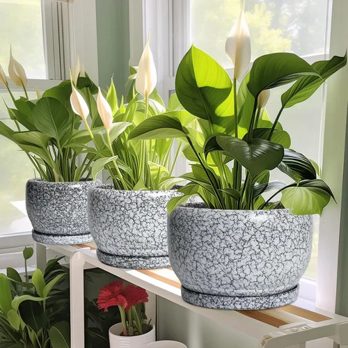 Vista 5 de SQOWL Maceta de cerámica para plantas - Maceta de cerámica de 6 pulgadas para interiores y exteriores, maceta decorativa para plantas con orificio