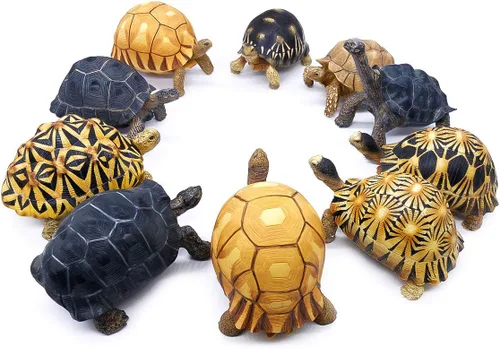 Vista 4 de PPCLION Galapacos - Figura de estatua de tortuga para decoración de regalo