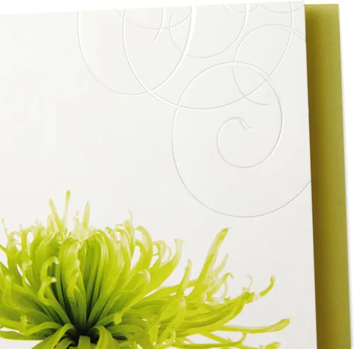 Vista 8 de Hallmark - Tarjetas de condolencia surtidas (flores, 12 tarjetas y sobres)