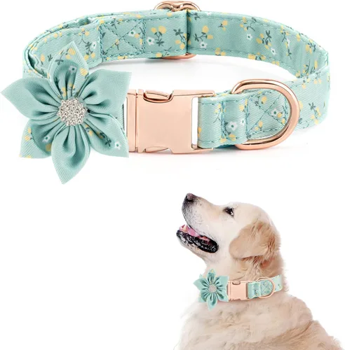 Vista 10 de TDTOK Collar de perro femenino para perros pequeños, medianos y grandes, lindo collar de perro con hebilla de seguridad metálica desmontable