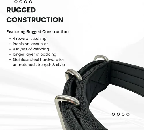 Vista 4 de SparkDog - Collar acolchado para perro, 2 pulgadas de ancho, nailon de 4 capas, correas para cinturón de seguridad, accesorios de acero inoxidable