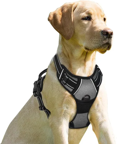 Vista 70 de BARKBAY - Arnés para perro sin tirones con clip frontal, material resistente y reflectante, asa de fácil control para pasear perros grandes