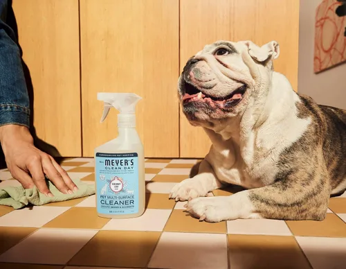 Vista 10 de Mrs. MEYER'S Clean Day Limpiador multisuperficie para mascotas, aroma a hoja de coco, 16 onzas