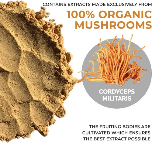 Vista 8 de Real Mushrooms Mezcla de chocolate caliente (15 porciones) y Cordyceps (60 porciones) en polvo – Suplemento en polvo de hongos para energía