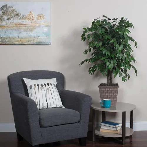 Vista 3 de De Vickerman: Arbusto de ficus artificial de 4 pies con hojas verde oscuro en canasta de mimbre decorativa