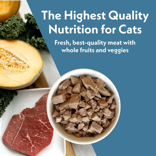Vista 6 de Fresh Is Best Alimento liofilizado de carne de res para gatos, alimento crudo para gatos y felinos adultos, carne de res liofilizada con alto