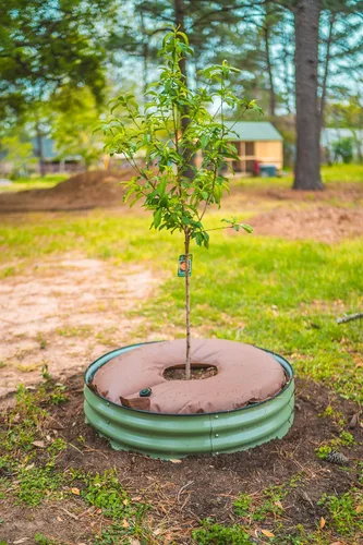 Vista 7 de Vego garden Bolsa de riego para árbol/anillo de 16 galones, bolsa de riego de PVC extremadamente resistente para árboles y arbustos, sistema