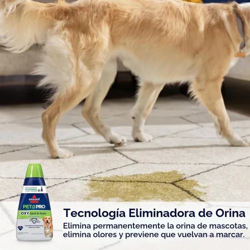Vista 3 de Paquete de limpiador de alfombras portátil Little Green + fórmula PET PRO OXY Spot & Stain Formula, 32 onzas