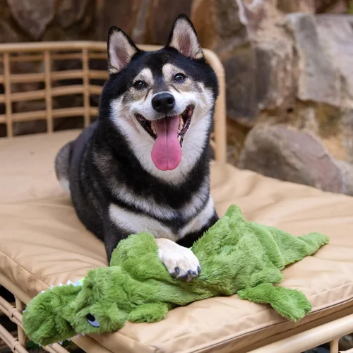 Vista 9 de Best Pet Supplies Juguetes chirriantes para perros con tela suave y duradera para mascotas pequeñas, medianas y grandes, juguete interactivo