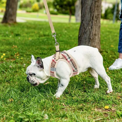 Vista 7 de PUPTECK Dog Harness with Leash for Dogs, Soft Reflective Materials, Pet Supplies, Hands, Pulling, Prevents Shedding, Neck Friendly, Adjustable, Easy