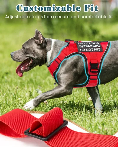 Vista 4 de Chaleco de perro de servicio para perros medianos, arnés de perro de servicio en entrenamiento con parches, chaleco ajustable para perros