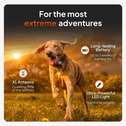 Vista 2 de Weenect Dog XT - Nuevo collar GPS para perros Antena XL Impermeable Collar Julius-K9 integrado ultra duradero Requiere suscripción