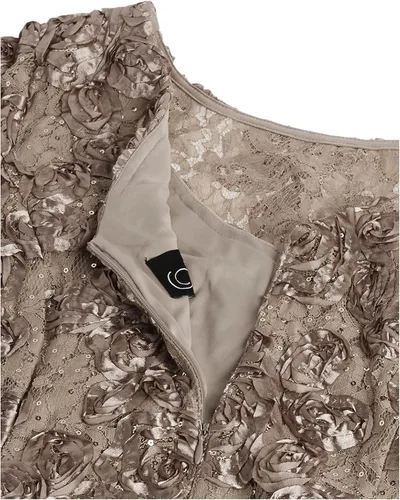 Vista 3 de Alex Evenings Vestido de encaje de roseta de manga corta para mujer, talla grande