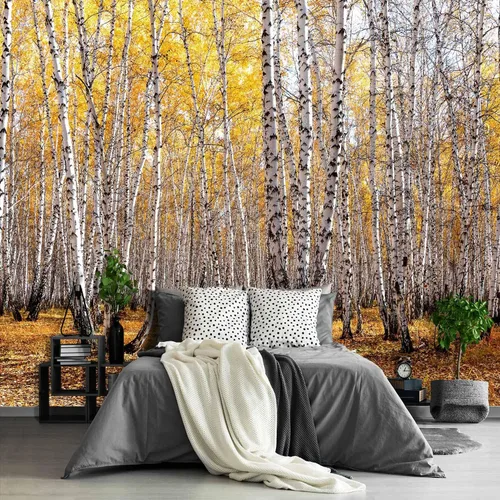 Vista 39 de Papel tapiz espacial 3D para dormitorio, murales de pared extra grandes para sala de estar, 151 x 105 pulgadas (no se puede despegar ni pegar)