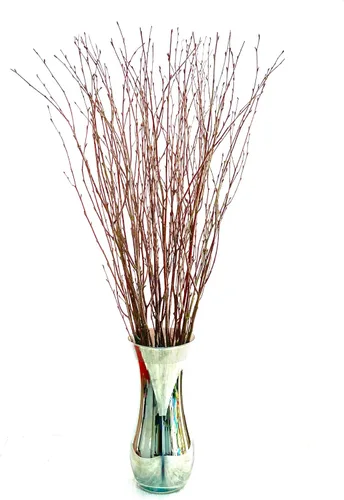 Vista 2 de ECOVENIK 25 piezas – Ramas – 28.7 in, ramitas de abedul natural, paquete de 20-25 tallos, largo para jarrones de suelo, (color marrón natural)
