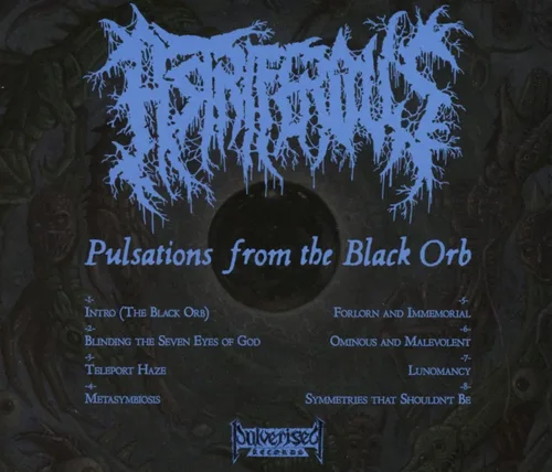 Vista 2 de Pulsations From The Black Orb