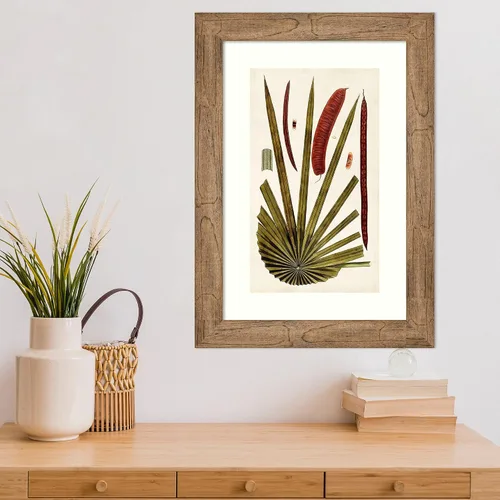 Vista 5 de Amanti Art Vision Studio - Lienzo decorativo para pared, 24 x 17 pulgadas, variedades de hojas VI por Vision Studio, arte de pared de naturaleza