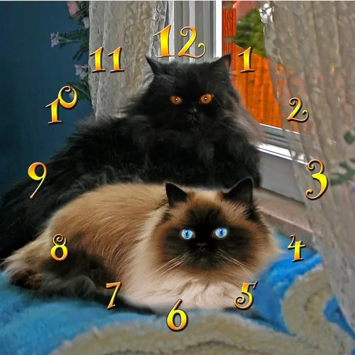 Vista 2 de CafePress Black Persian & Himalayan Cats Reloj de pared de 10 pulgadas para sala de estar, cocina u oficina