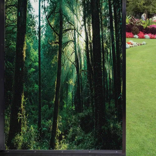 Vista 23 de Película decorativa de privacidad para ventana, control de calor, bloqueo solar, protección UV, diseño de bosque de abedul, adherencia estática