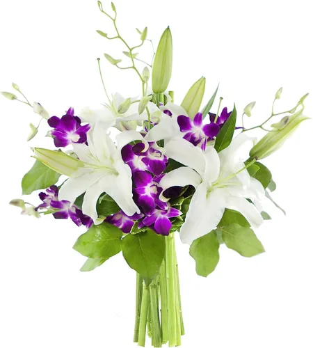 Vista 9 de KaBloom - Ramo de belleza abundante de margaritas blancas frescas con jarrón - Flores frescas para cumpleaños, San Valentín y Día de la Madre