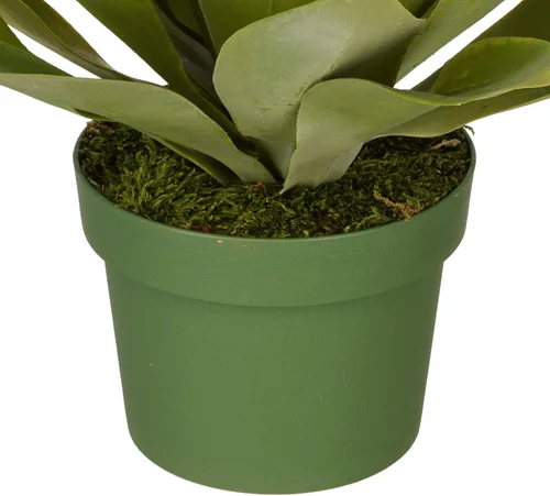 Vista 3 de House of Silk Flowers Suculenta de agave artificial (pequeño)
