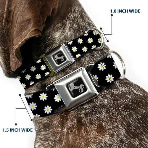 Vista 2 de Collar de perro hebilla de cinturón de seguridad margaritas dispersas negro blanco amarillo 9 a 15 pulgadas 1.0 pulgadas ancho