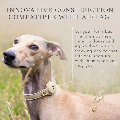 Vista 4 de Collares, arneses y correas para perros Nina Woof de Cupertino, fabricados con cuero vegano con soporte para dispositivo de seguimiento de perros