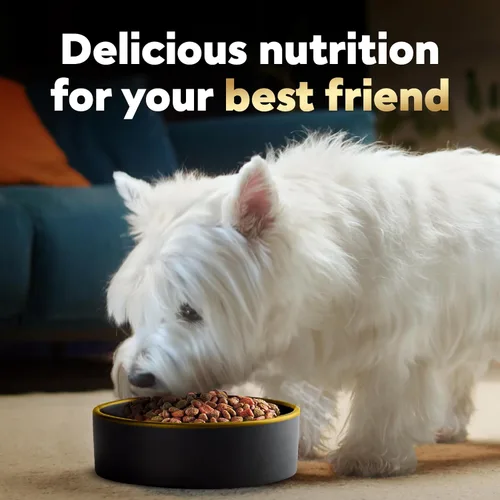 Vista 6 de Comida para perros de raza pequeña seca Cesar, Pollo Made in USA, Real chicken #1 ingredient, 26 essential nutrients, supports small breed health