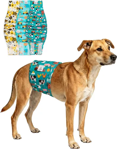 Vista 29 de CuteBone - Pañales lavables para perro macho, banda abdominal, paquete de 3 unidades, color negro, modelo DM54XS
