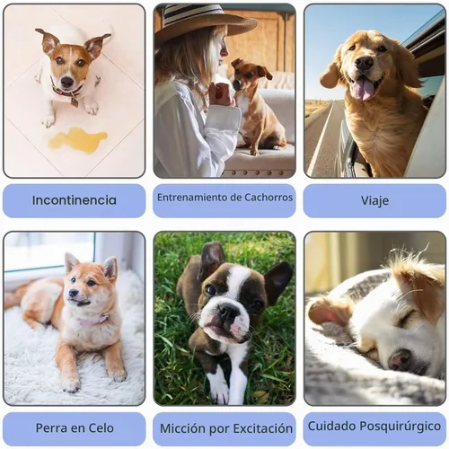 Vista 6 de Paw Legend Pañales lavables y reutilizables para perras, pañales para perras (3 unidades, XS)