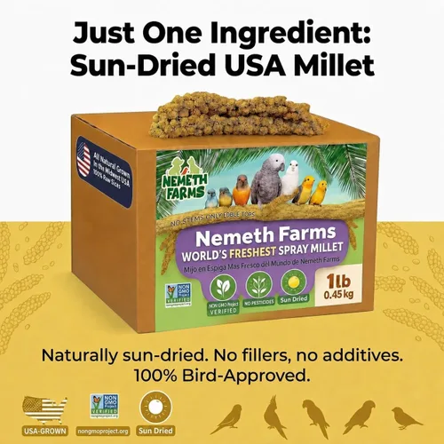 Vista 6 de Nemeth Farms Spray Millet - Tapas comestibles solamente, sin OMG y secado al sol, 1 libra para periquitos, canarios y pinzones