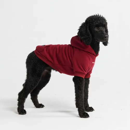Vista 78 de Spark Paws Sudadera con capucha para perro, suéter de primera calidad para perros pequeños, medianos y grandes Trajes cálidos para bulldogs
