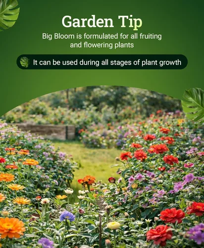 Vista 5 de FoxFarm - Alimento para plantas Big Bloom, concentrado de fertilizante líquido para flores, frutas y verduras, fertilizante vegetal multiusos